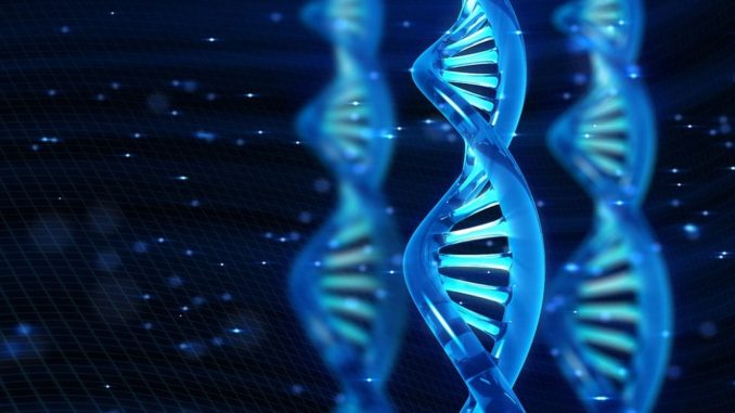 Вчені створили дивний вигляд напівсинтетичного життя, в ДНК якої налічується три пари підстав