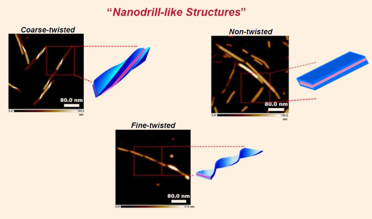 Розроблено наноматеріали CSPN у вигляді «бурів», які дозволяють доставити різні речовини всередину клітини безпосередньо через клітинну мембрану.