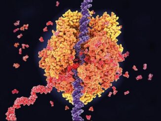 мРНК-вакцини від герпесу, вітряної віспи та раку